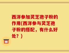 西洋参加灵芝孢子粉的作用(西洋参与灵芝孢子粉的搭配，有什么好处？)