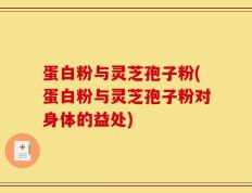 蛋白粉与灵芝孢子粉(蛋白粉与灵芝孢子粉对身体的益处)