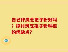 自己种灵芝孢子粉好吗？探讨灵芝孢子粉种植的优缺点？