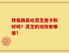 转氨酶高吃灵芝孢子粉好吗？灵芝的功效有哪些？