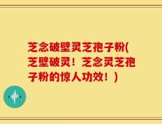 芝念破壁灵芝孢子粉(芝壁破灵！芝念灵芝孢子粉的惊人功效！)