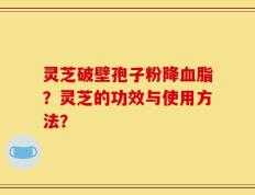 灵芝破壁孢子粉降血脂？灵芝的功效与使用方法？