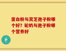 蛋白粉与灵芝孢子粉哪个好？驼奶与孢子粉哪个营养好