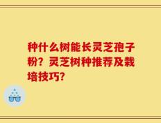 种什么树能长灵芝孢子粉？灵芝树种推荐及栽培技巧？