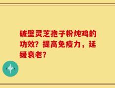 破壁灵芝孢子粉炖鸡的功效？提高免疫力，延缓衰老？