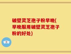 破壁灵芝孢子粉早晚(早晚服用破壁灵芝孢子粉的好处)