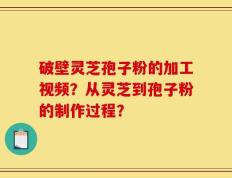 破壁灵芝孢子粉的加工视频？从灵芝到孢子粉的制作过程？