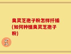 臭灵芝孢子粉怎样扦插(如何种植臭灵芝孢子粉)