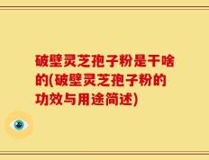 破壁灵芝孢子粉是干啥的(破壁灵芝孢子粉的功效与用途简述)