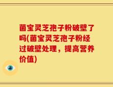 菌宝灵芝孢子粉破壁了吗(菌宝灵芝孢子粉经过破壁处理，提高营养价值)