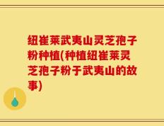 纽崔莱武夷山灵芝孢子粉种植(种植纽崔莱灵芝孢子粉于武夷山的故事)