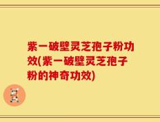 紫一破壁灵芝孢子粉功效(紫一破壁灵芝孢子粉的神奇功效)