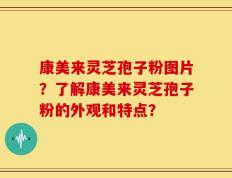 康美来灵芝孢子粉图片？了解康美来灵芝孢子粉的外观和特点？
