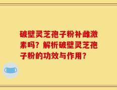 破壁灵芝孢子粉补雌激素吗？解析破壁灵芝孢子粉的功效与作用？
