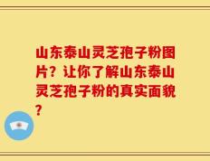 山东泰山灵芝孢子粉图片？让你了解山东泰山灵芝孢子粉的真实面貌？