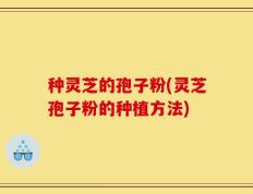 种灵芝的孢子粉(灵芝孢子粉的种植方法)