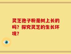 灵芝孢子粉是树上长的吗？探究灵芝的生长环境？