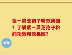 紫一灵芝孢子粉效果图？了解紫一灵芝孢子粉的功效和效果图？