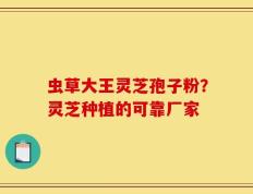 虫草大王灵芝孢子粉？灵芝种植的可靠厂家