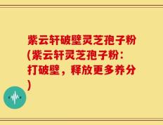 紫云轩破壁灵芝孢子粉(紫云轩灵芝孢子粉：打破壁，释放更多养分)