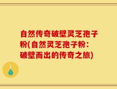 自然传奇破壁灵芝孢子粉(自然灵芝孢子粉：破壁而出的传奇之旅)