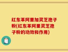红东革阿里加灵芝孢子粉(红东革阿里灵芝孢子粉的功效和作用)