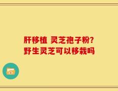 肝移植 灵芝孢子粉？野生灵芝可以移栽吗