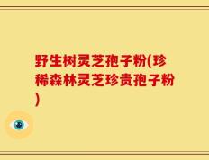 野生树灵芝孢子粉(珍稀森林灵芝珍贵孢子粉)