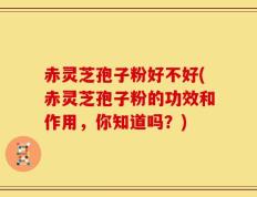 赤灵芝孢子粉好不好(赤灵芝孢子粉的功效和作用，你知道吗？)