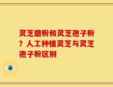 灵芝磨粉和灵芝孢子粉？人工种植灵芝与灵芝孢子粉区别