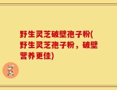 野生灵芝破壁孢子粉(野生灵芝孢子粉，破壁营养更佳)