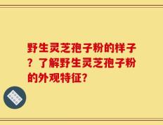 野生灵芝孢子粉的样子？了解野生灵芝孢子粉的外观特征？