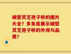 破壁灵芝孢子粉的图片大全？多角度展示破壁灵芝孢子粉的外观与品质？