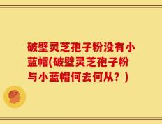 破壁灵芝孢子粉没有小蓝帽(破壁灵芝孢子粉与小蓝帽何去何从？)