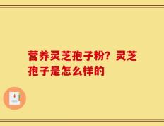 营养灵芝孢子粉？灵芝孢子是怎么样的