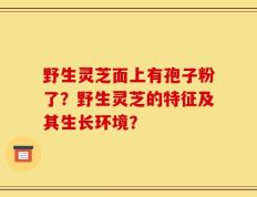 野生灵芝面上有孢子粉了？野生灵芝的特征及其生长环境？