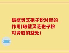 破壁灵芝孢子粉对肾的作用(破壁灵芝孢子粉对肾脏的益处)
