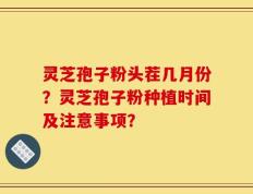 灵芝孢子粉头茬几月份？灵芝孢子粉种植时间及注意事项？