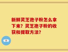 新鲜灵芝孢子粉怎么拿下来？灵芝孢子粉的收获和提取方法？