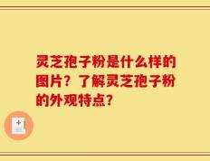 灵芝孢子粉是什么样的图片？了解灵芝孢子粉的外观特点？