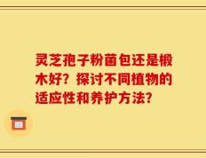 灵芝孢子粉菌包还是椴木好？探讨不同植物的适应性和养护方法？