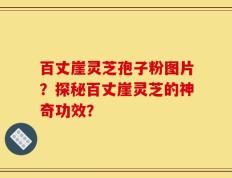 百丈崖灵芝孢子粉图片？探秘百丈崖灵芝的神奇功效？