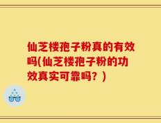 仙芝楼孢子粉真的有效吗(仙芝楼孢子粉的功效真实可靠吗？)