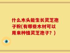 什么木头能生长灵芝孢子粉(有哪些木材可以用来种植灵芝孢子？)