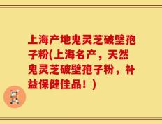 上海产地鬼灵芝破壁孢子粉(上海名产，天然鬼灵芝破壁孢子粉，补益保健佳品！)