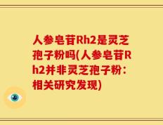 人参皂苷Rh2是灵芝孢子粉吗(人参皂苷Rh2并非灵芝孢子粉：相关研究发现)