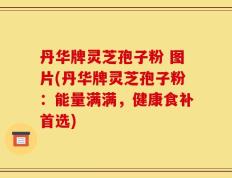 丹华牌灵芝孢子粉 图片(丹华牌灵芝孢子粉：能量满满，健康食补首选)