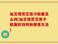 仙芝楼灵芝孢子胶囊怎么样(仙芝楼灵芝孢子胶囊的功效和使用方法)