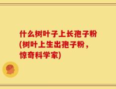 什么树叶子上长孢子粉(树叶上生出孢子粉，惊奇科学家)