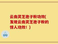 云南灵芝孢子粉功效(发现云南灵芝孢子粉的惊人功效！)